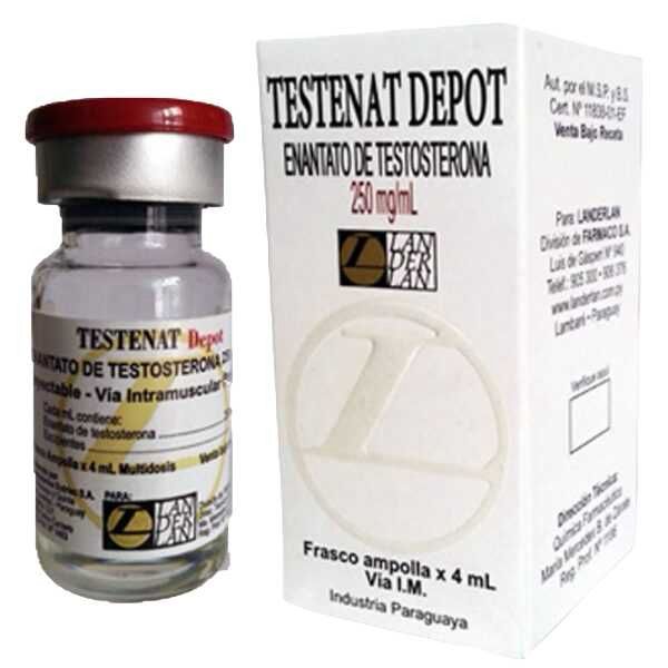 Testanat 4ml (Enantato)